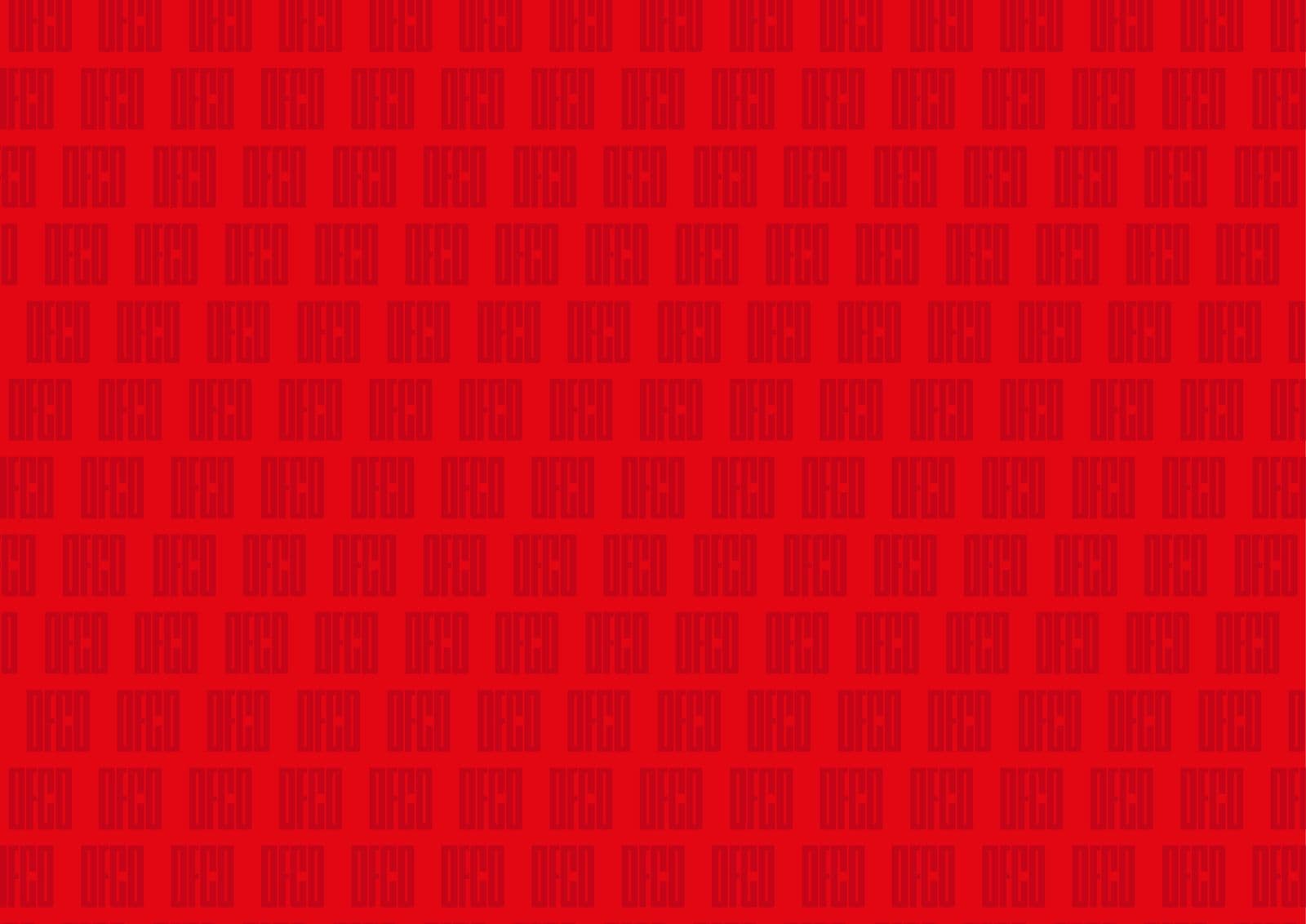 DFCO Dijon — visuel 5