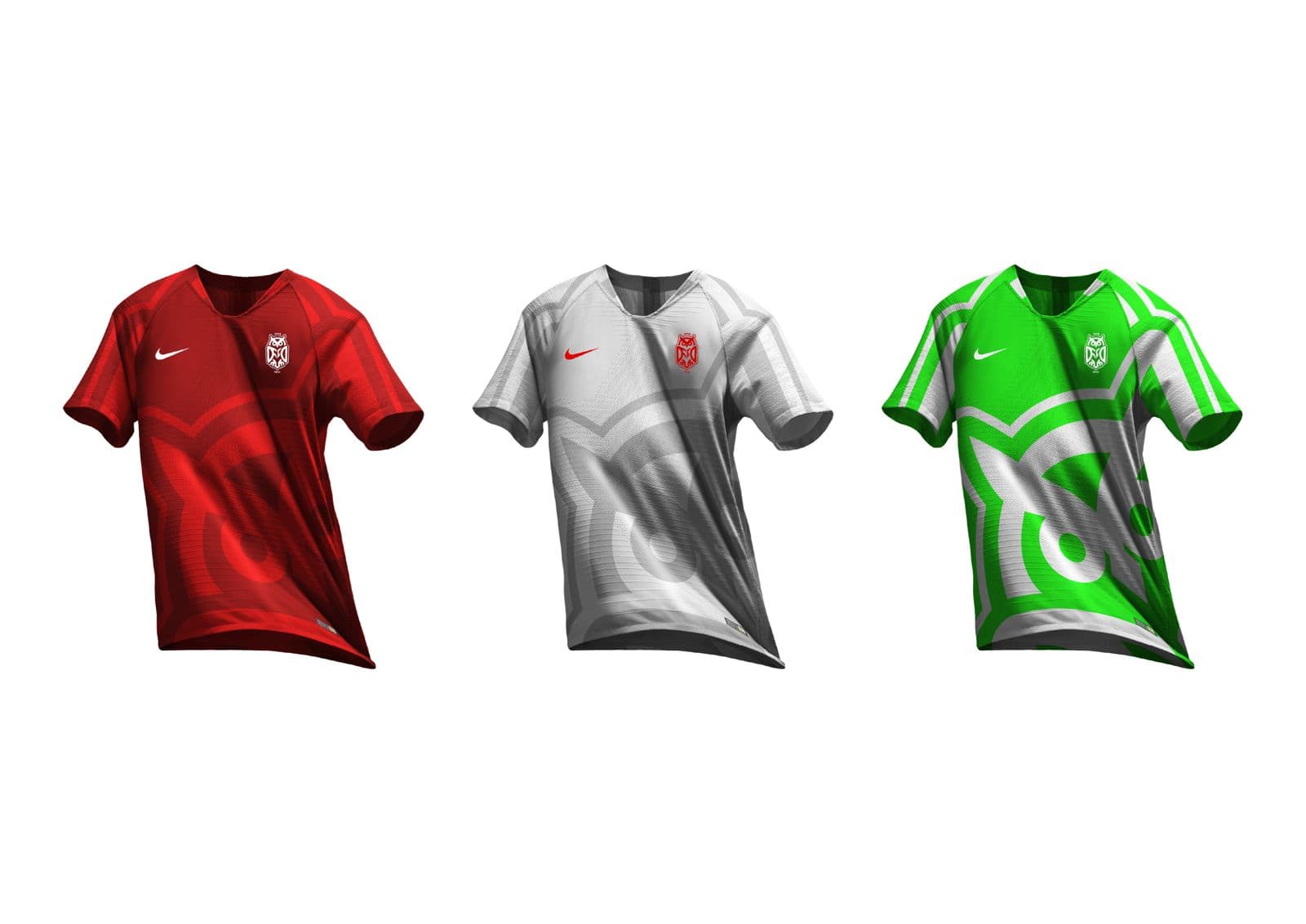 DFCO Dijon — visuel 12
